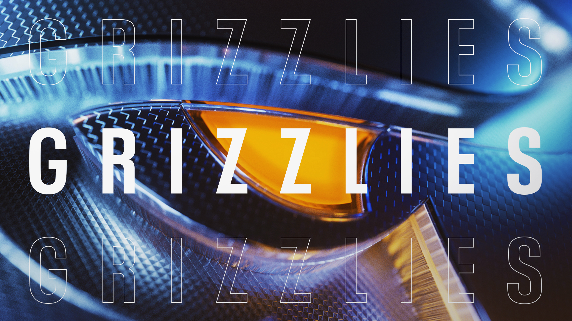 GRIZZLIES_01